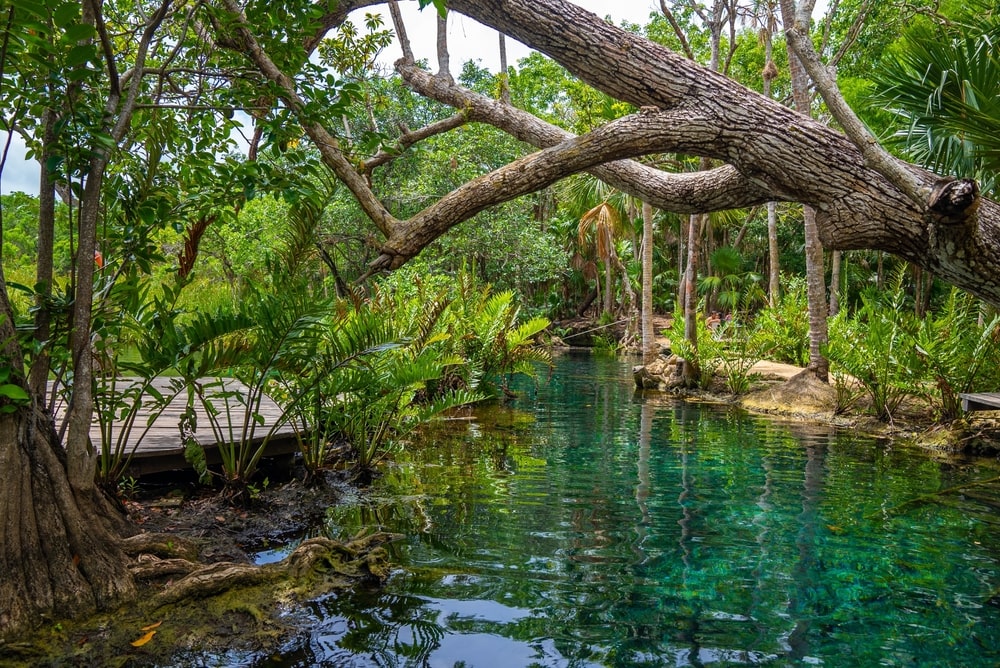Cenote Zacil Ha Messico