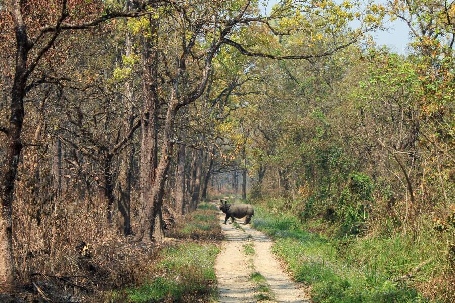 Parco Nazionale di Chitwan, Nepal