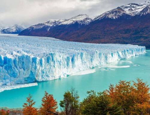Cosa vedere in Argentina?