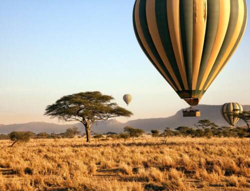Safari in Tanzania