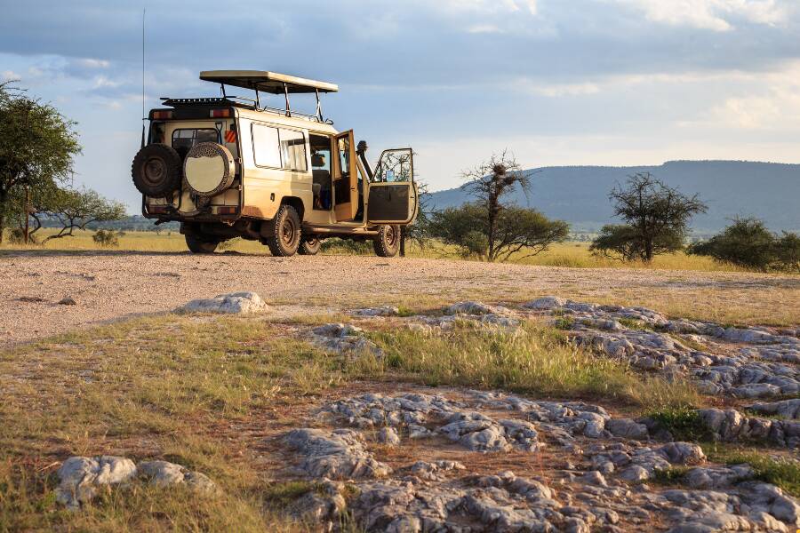 Prezzo di un Safari in Tanzania