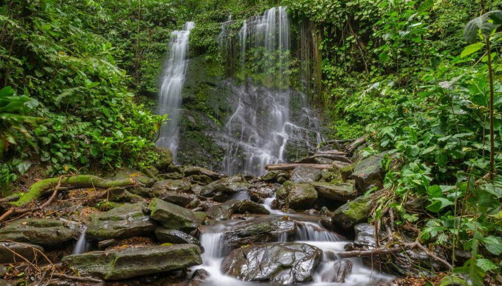 Amacayacu cosa visitare in colombia