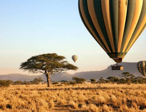 Cosa vedere in Tanzania