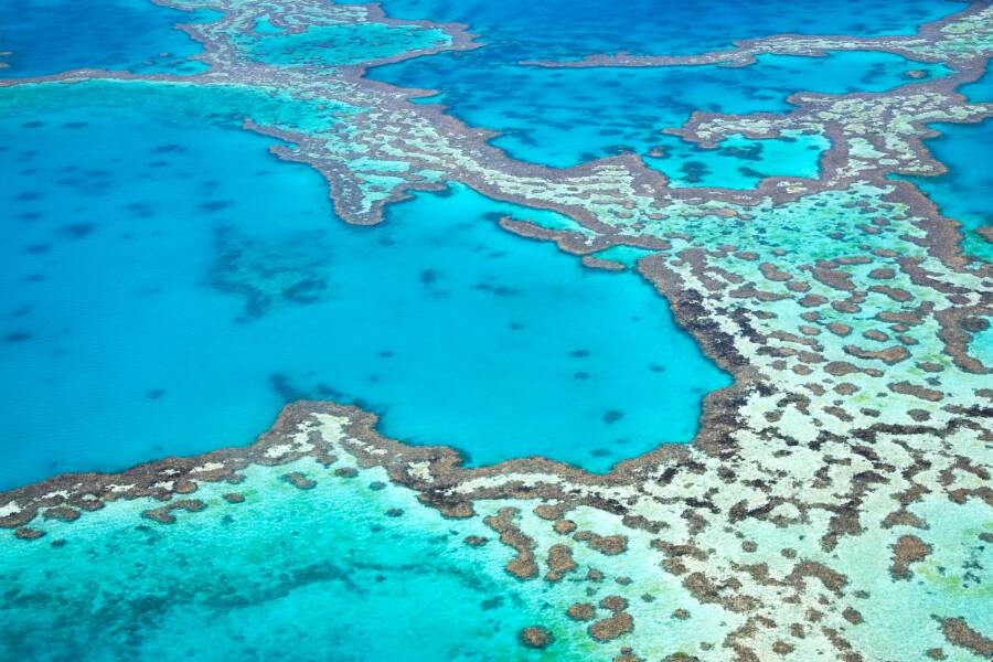 Grande Barriera Corallina Australiana una delle più delle del mondo