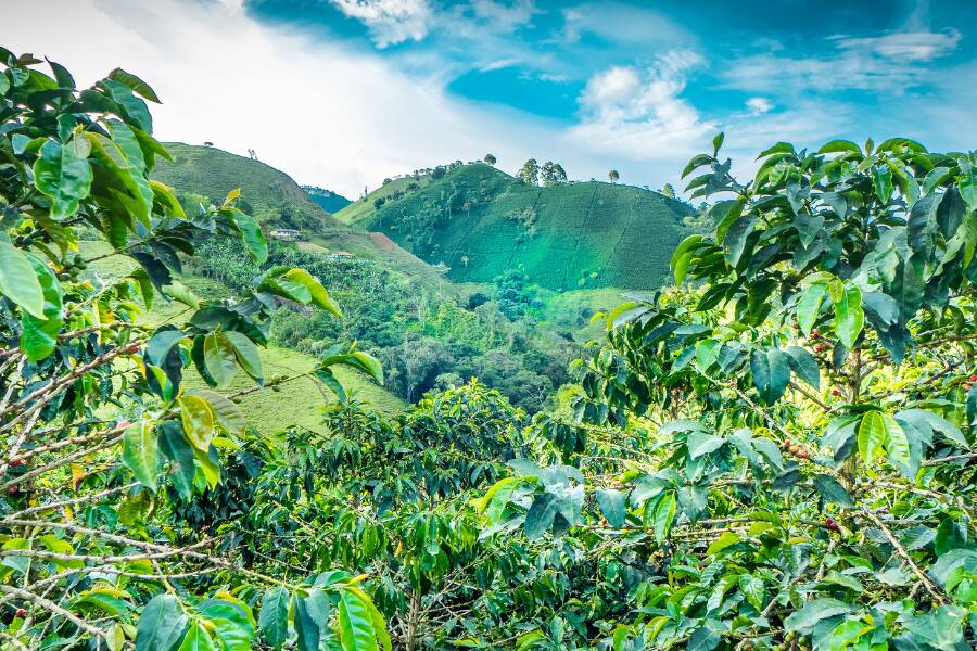 Cosa vedere in Nicaragua Matagala e Jinotega
