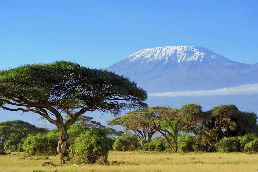 Parco Nazionale del Kilimanjaro cosa vedere in Tanzania