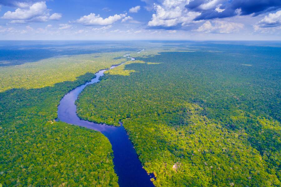 Amazzonia boliviana un ecosistema unico