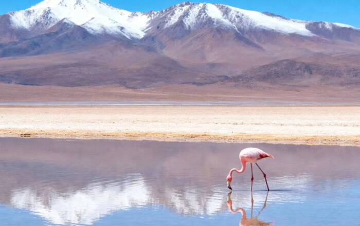 I parchi naturali del Bolivia