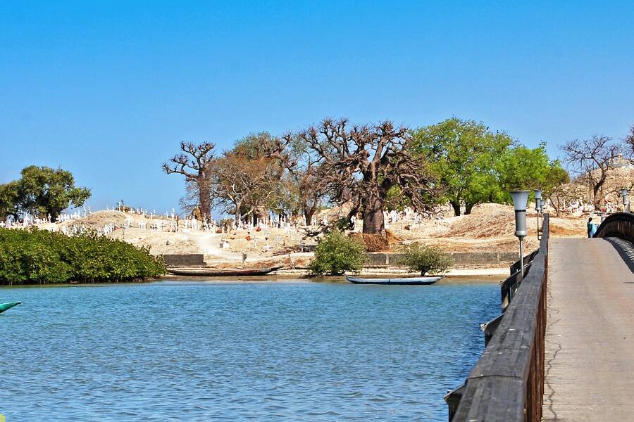 L'isola delle conchiglie