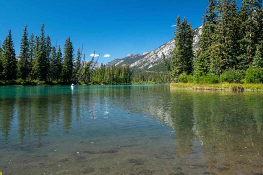 Il Parque Nacional Madidi una meraviglia della Bolivia