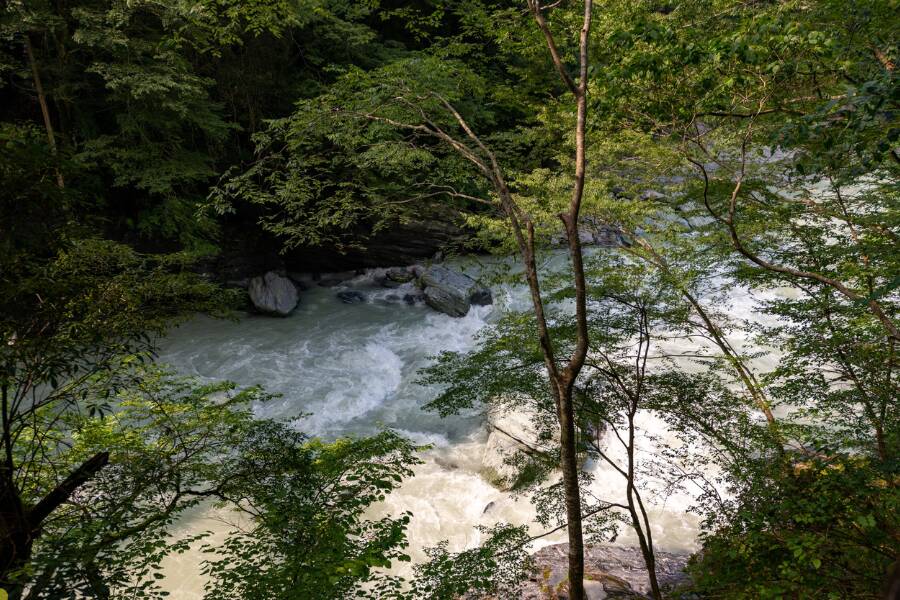 Parque Nacional del Gran Chaco Kaa Iya una delle bellezze della Bolivia