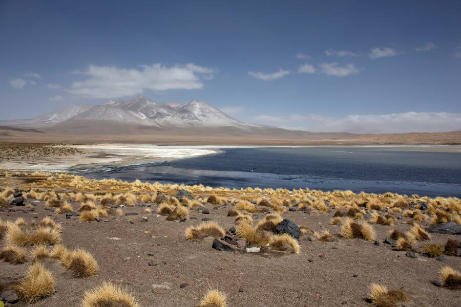 Reserva Nacional de Fauna Andina Eduardo Avaroa un santuario naturale
