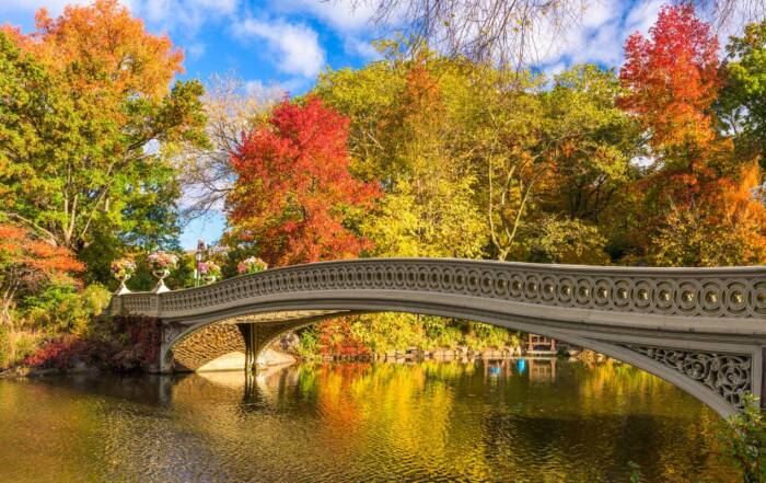 Autunno a New York central park