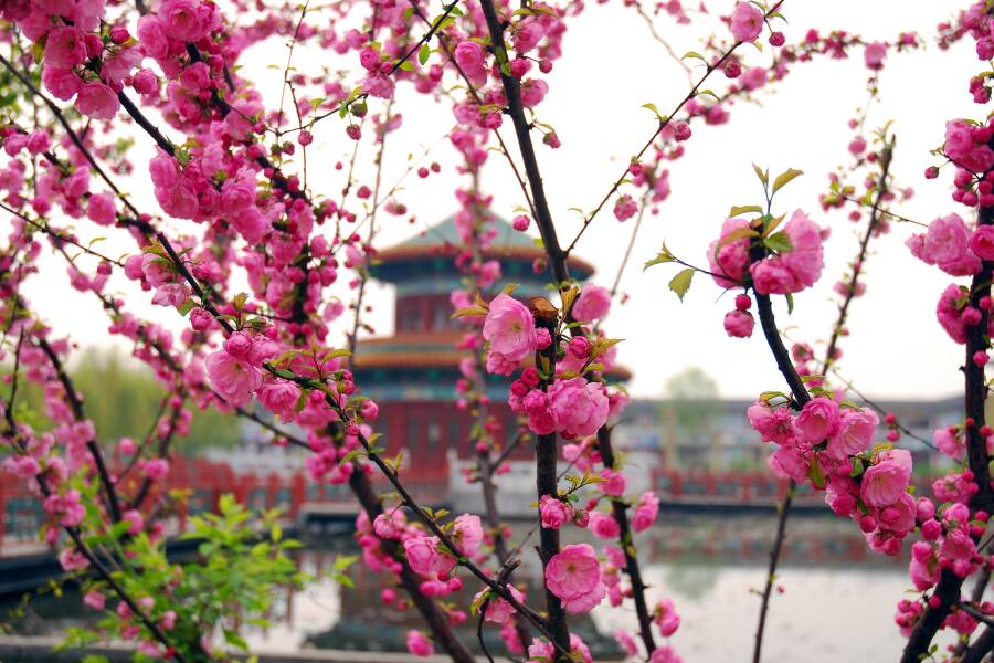 La Cina in primavera