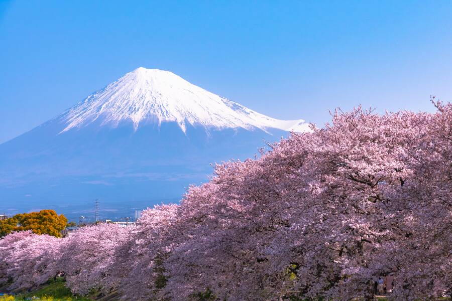 Il monte Fuji